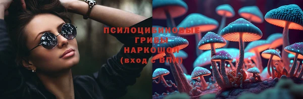 PSILOCYBIN Алзамай