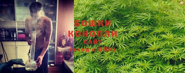 PSILOCYBIN Алзамай