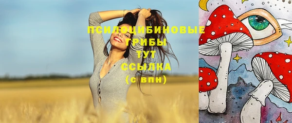 Альфа ПВП Алексин
