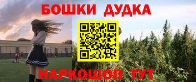 индика Кинель