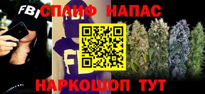индика Кинель