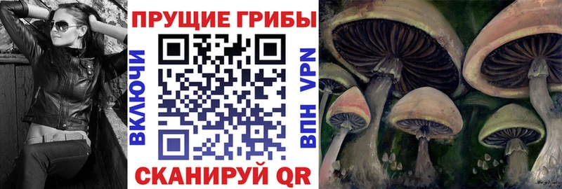 OMG сайт  Обнинск  Галлюциногенные грибы Psilocybe 