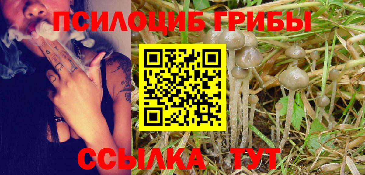 Псилоцибиновые грибы Cubensis Обнинск
