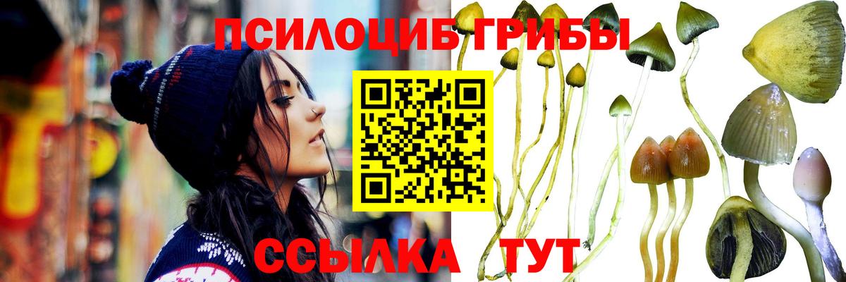 Псилоцибиновые грибы Cubensis  Вход с VPN  Обнинск 